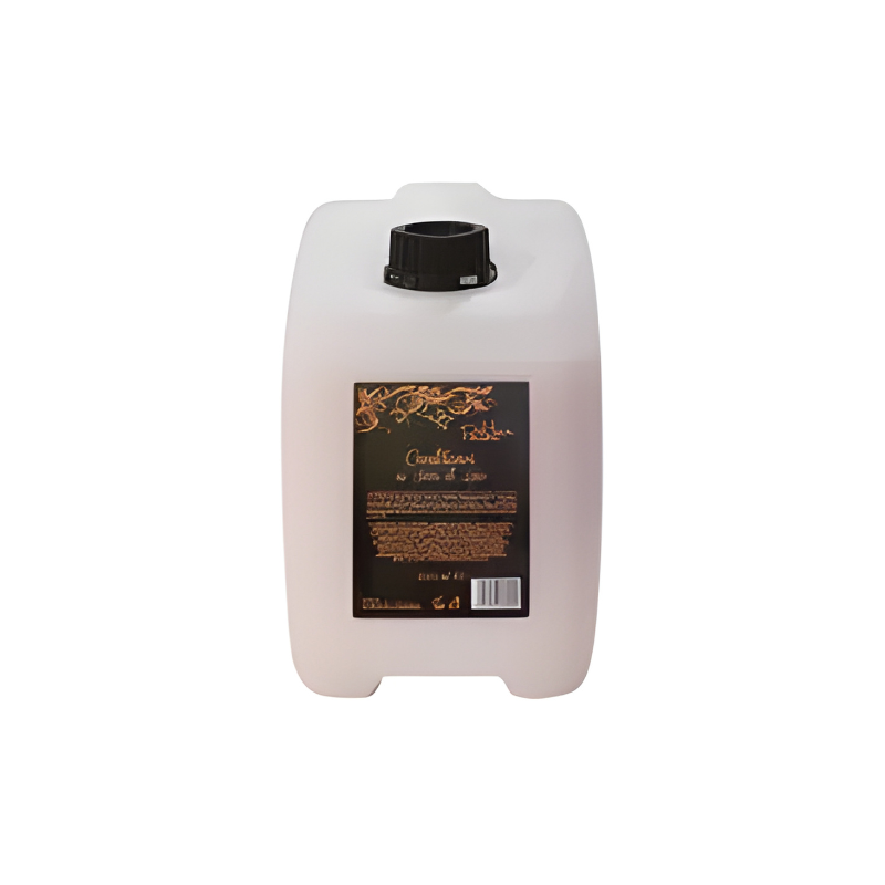HAIR POTION CONDITIONER TANICA 10L SEMI DI LINO
